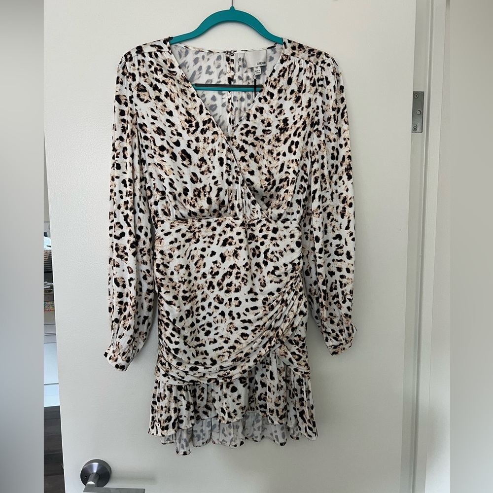 Greylin Cheetah Print Dress